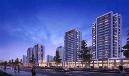 青岛蓝湾爆料最新消息新闻,揭秘神秘项目进展与影响